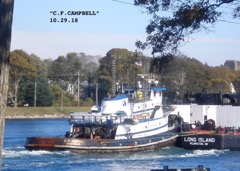 C.F.CAMPBELL 10.29.18