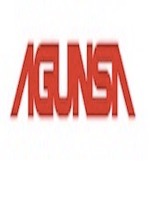 AGUNSA b - logo
