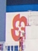 ??? 'Nu Shi Shalini'\